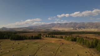 Bild des Altai Gebirges, im Hintergrund eine große Bergkette, darüber der blaue Himmel mit leicher Bewölkung, im Vordergrund eine flache grüne Landschaft