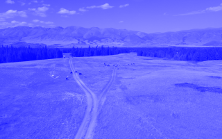 Altai, 2021