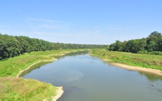The Oder near Lubiąż towards the north, © Chr. Mielzarek