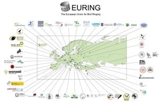 Member organisations of the European Union for Bird Ringing © EURING